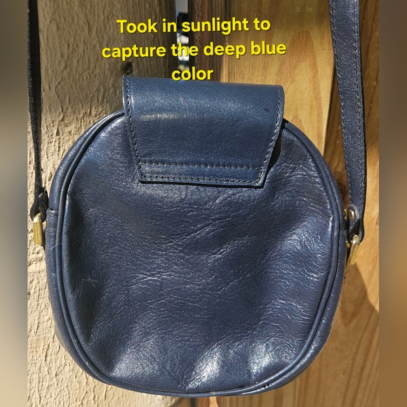 Michael Rome "Rare" Italian Blue Crisp Leather Crossbody w/Crest Lining E.U.C. - Picture 4 of 15